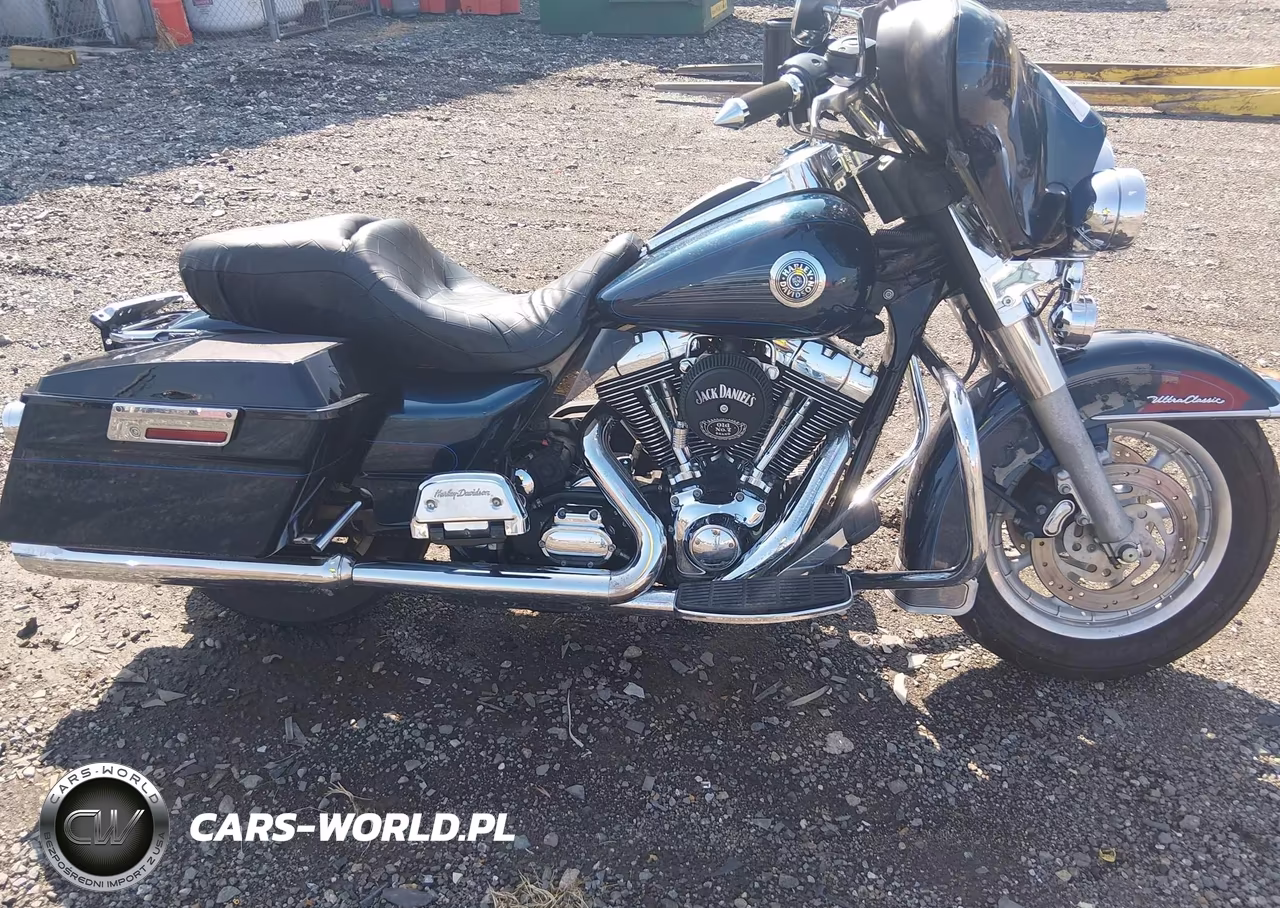 2004 Harley-Davidson Flhtcui VIN:1HD1FCW144Y627441 - 8