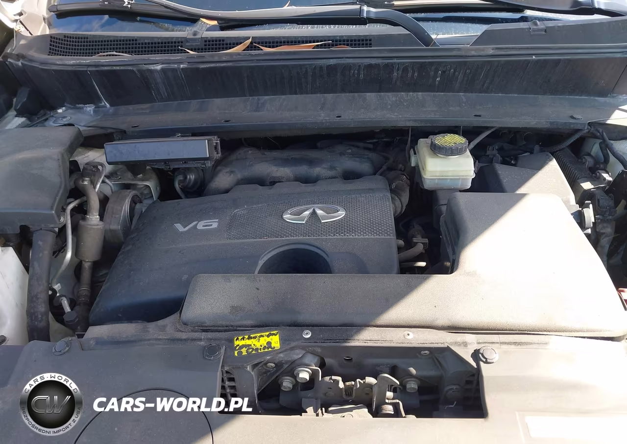 2020 Infiniti Qx60 Pure VIN:5N1DL0MN7LC518104 - 10
