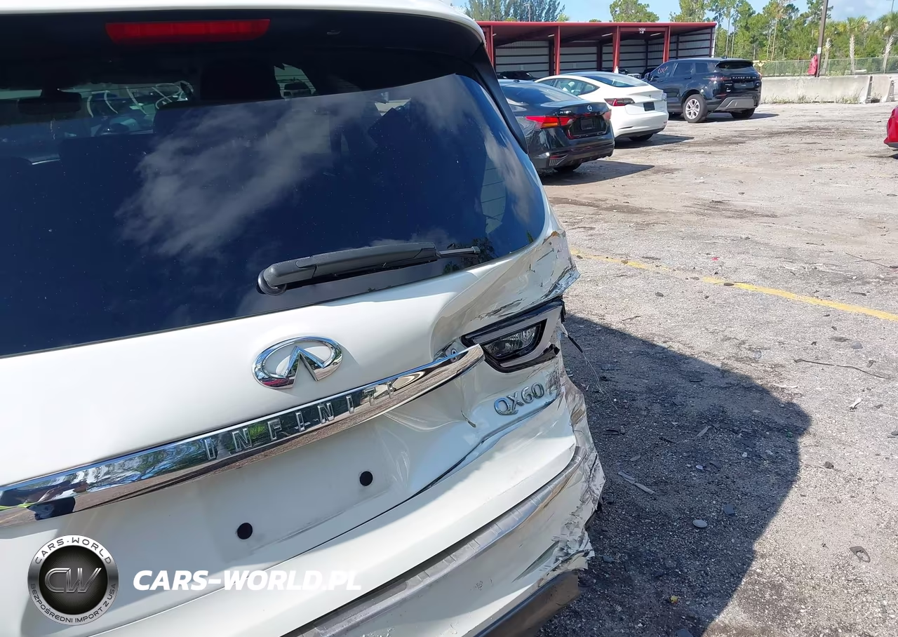 2020 Infiniti Qx60 Pure VIN:5N1DL0MN7LC518104 - 6