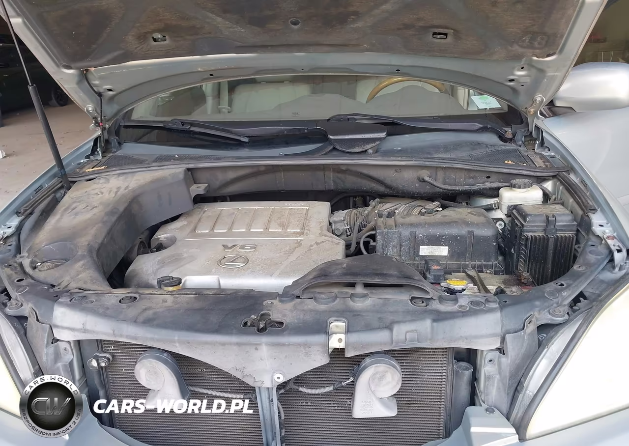 2008 Lexus Rx 350 VIN:2T2GK31U18C041133 - 10