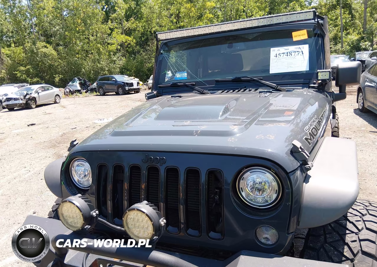 2017 Jeep Wrangler Unlimited Smoky Mountain VIN:1C4BJWEGXHL658255 - 13