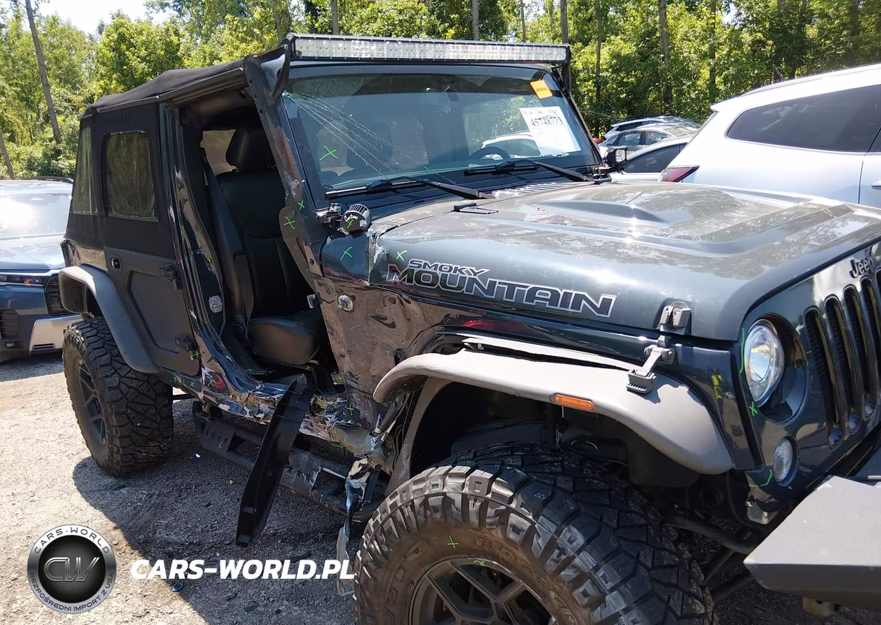 2017 Jeep Wrangler Unlimited Smoky Mountain VIN:1C4BJWEGXHL658255 - 6