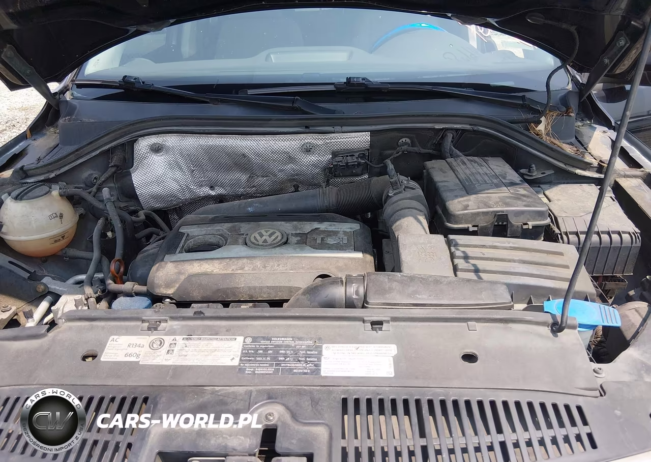 2011 Volkswagen Tiguan S VIN:WVGBV7AX7BW564240 - 10