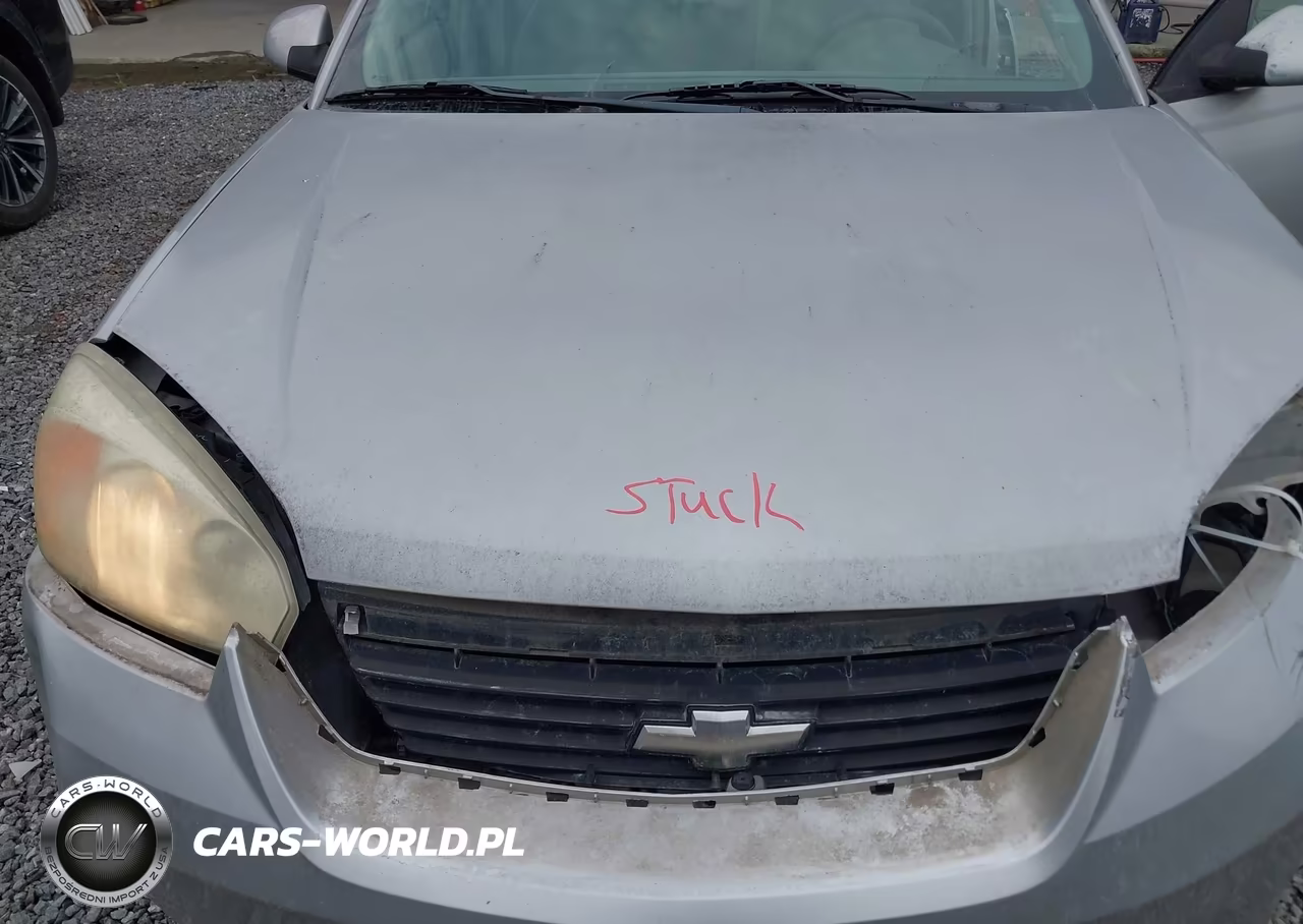 2006 Chevrolet Malibu Lt VIN:1G1ZT51F16F107460 - 10