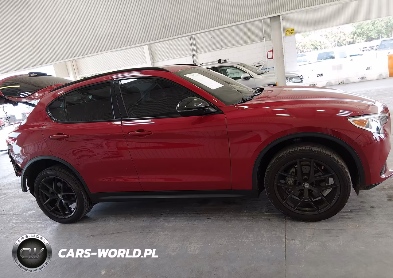 2021 Alfa Romeo Stelvio Rwd VIN:ZASPAJAN8M7C98619 - 13
