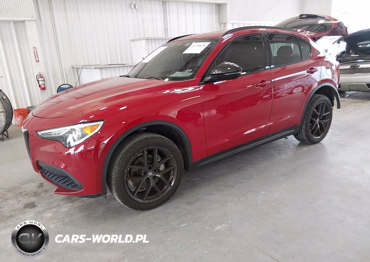 2021 Alfa Romeo Stelvio Rwd VIN:ZASPAJAN8M7C98619 - 2