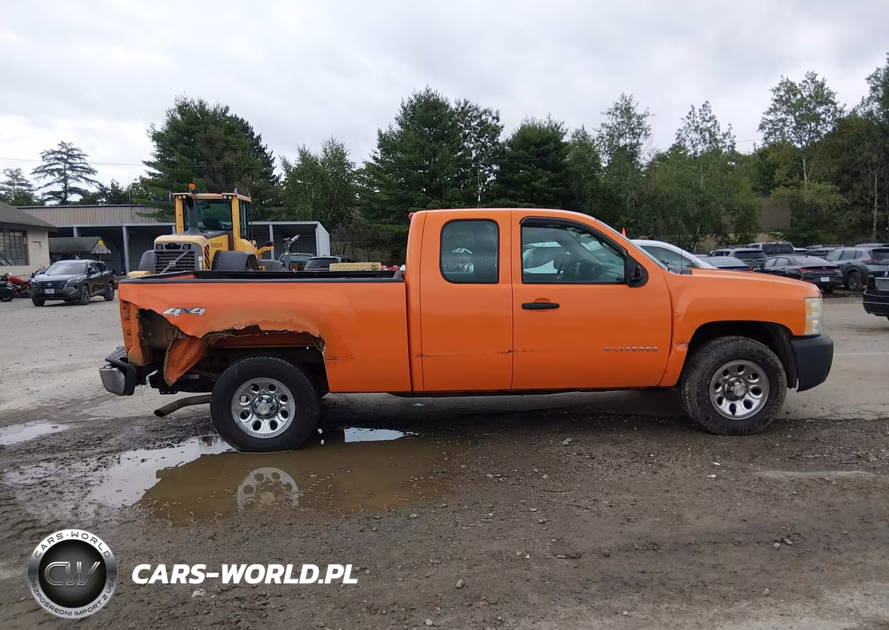 2010 Chevrolet Silverado 1500 Work Truck VIN:1GCSKPEA8AZ126178 - 13
