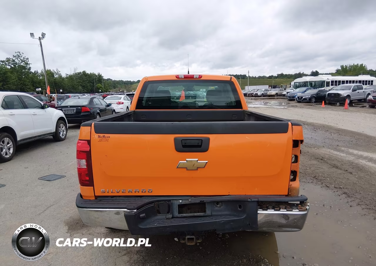 2010 Chevrolet Silverado 1500 Work Truck VIN:1GCSKPEA8AZ126178 - 16