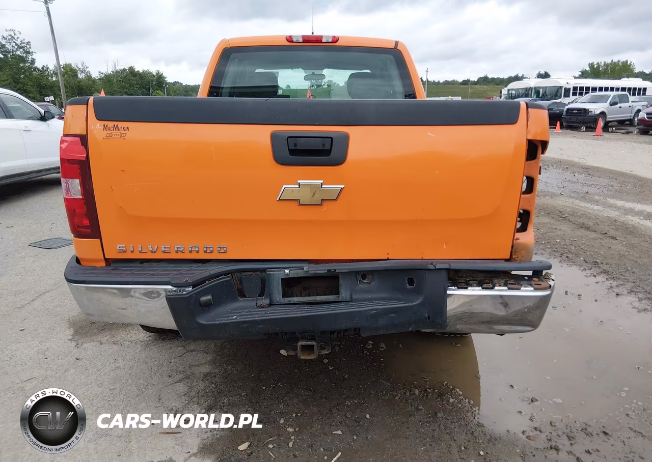 2010 Chevrolet Silverado 1500 Work Truck VIN:1GCSKPEA8AZ126178 - 6