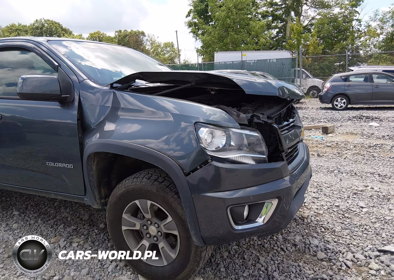 2015 Chevrolet Colorado Z71 VIN:1GCGTCE34F1170245 - 17