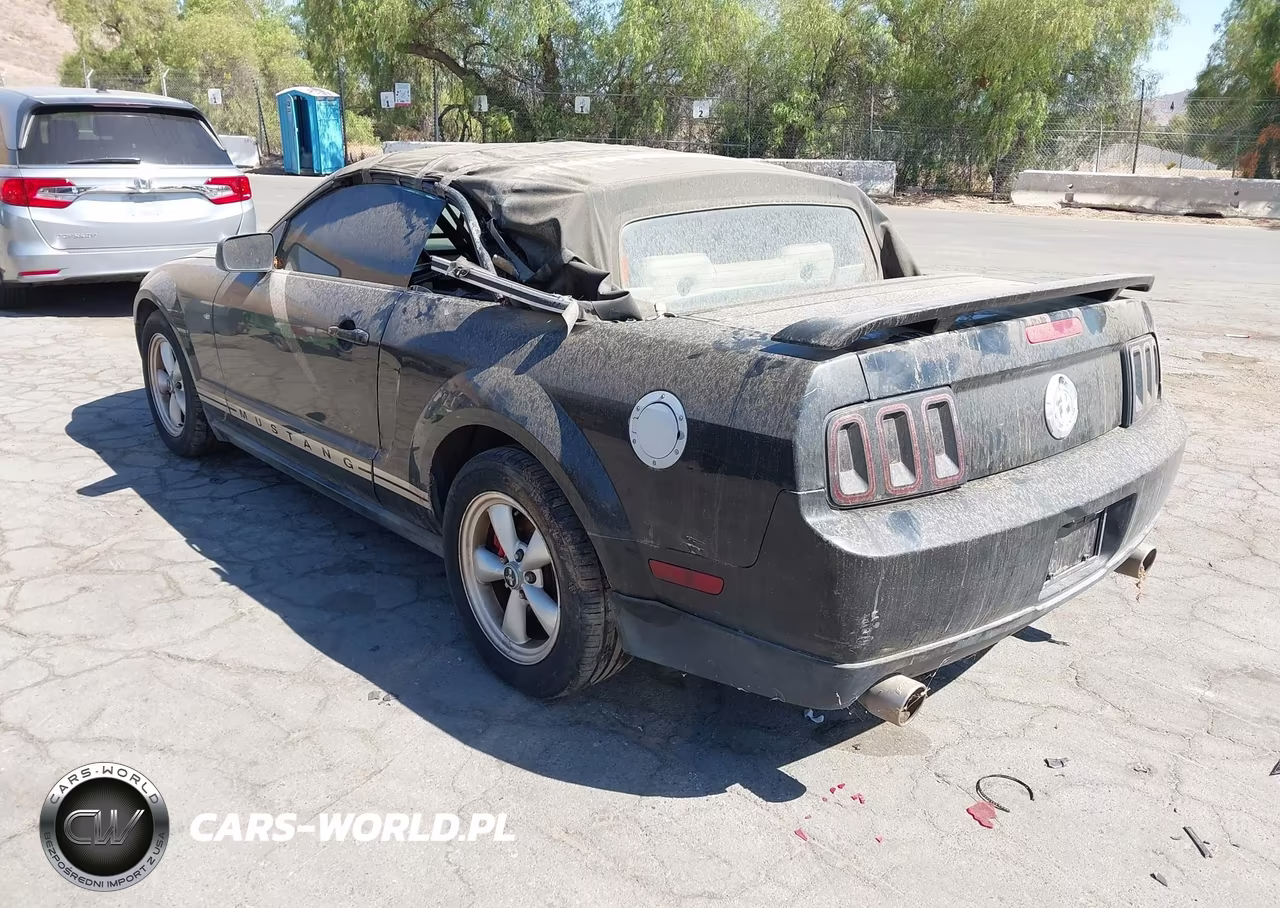 2005 Ford Mustang VIN:1ZVFT84N055248682 - 3