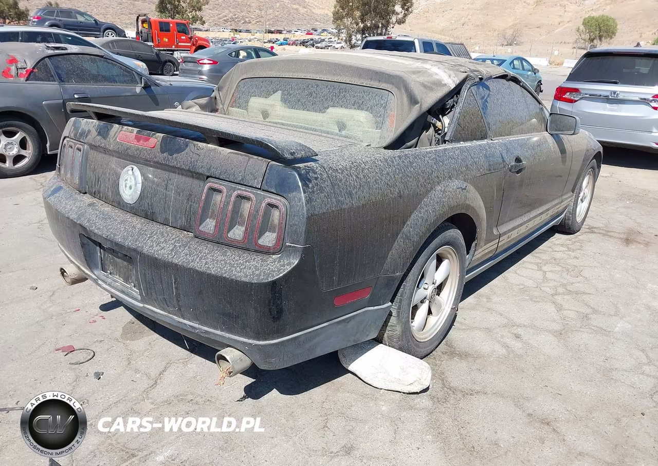 2005 Ford Mustang VIN:1ZVFT84N055248682 - 4