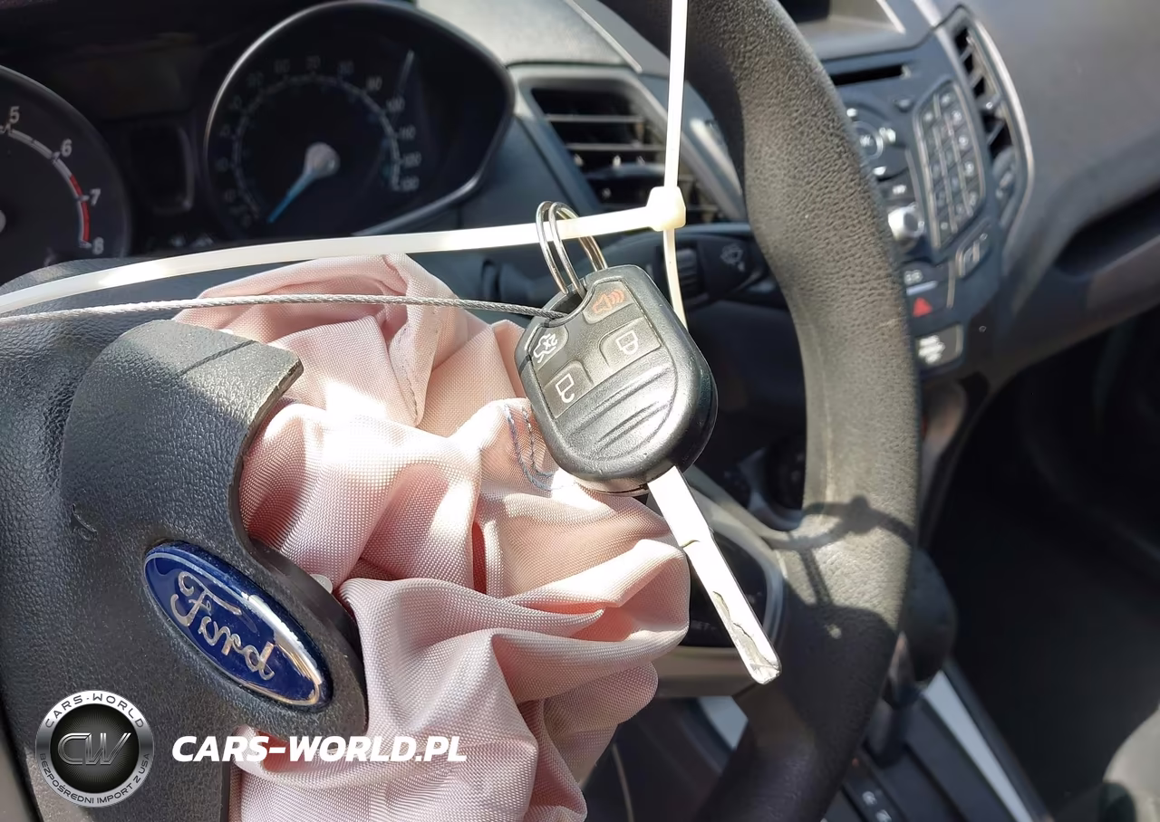 FORD FIESTA VIN:3FADP4BJ7HM150339 - 11