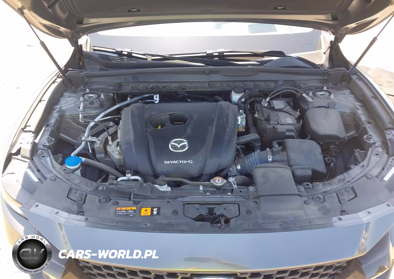 2024 Mazda Cx-50 2.5 S Premium Plus VIN:7MMVABEM0RN195172 - 10