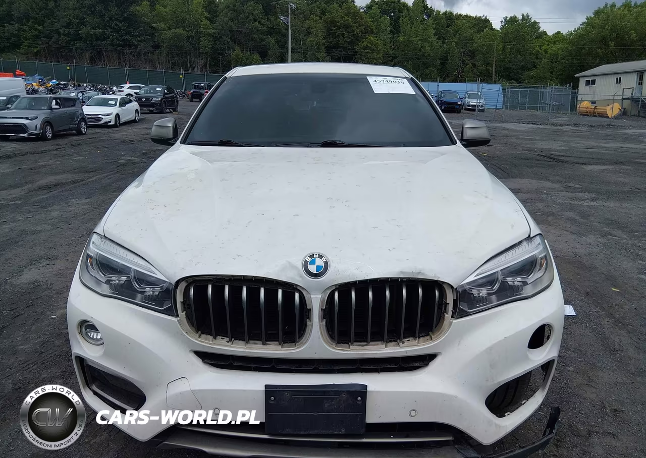 2017 BMW X6 xDrive35I VIN:5UXKU2C3XH0X47159 - 12