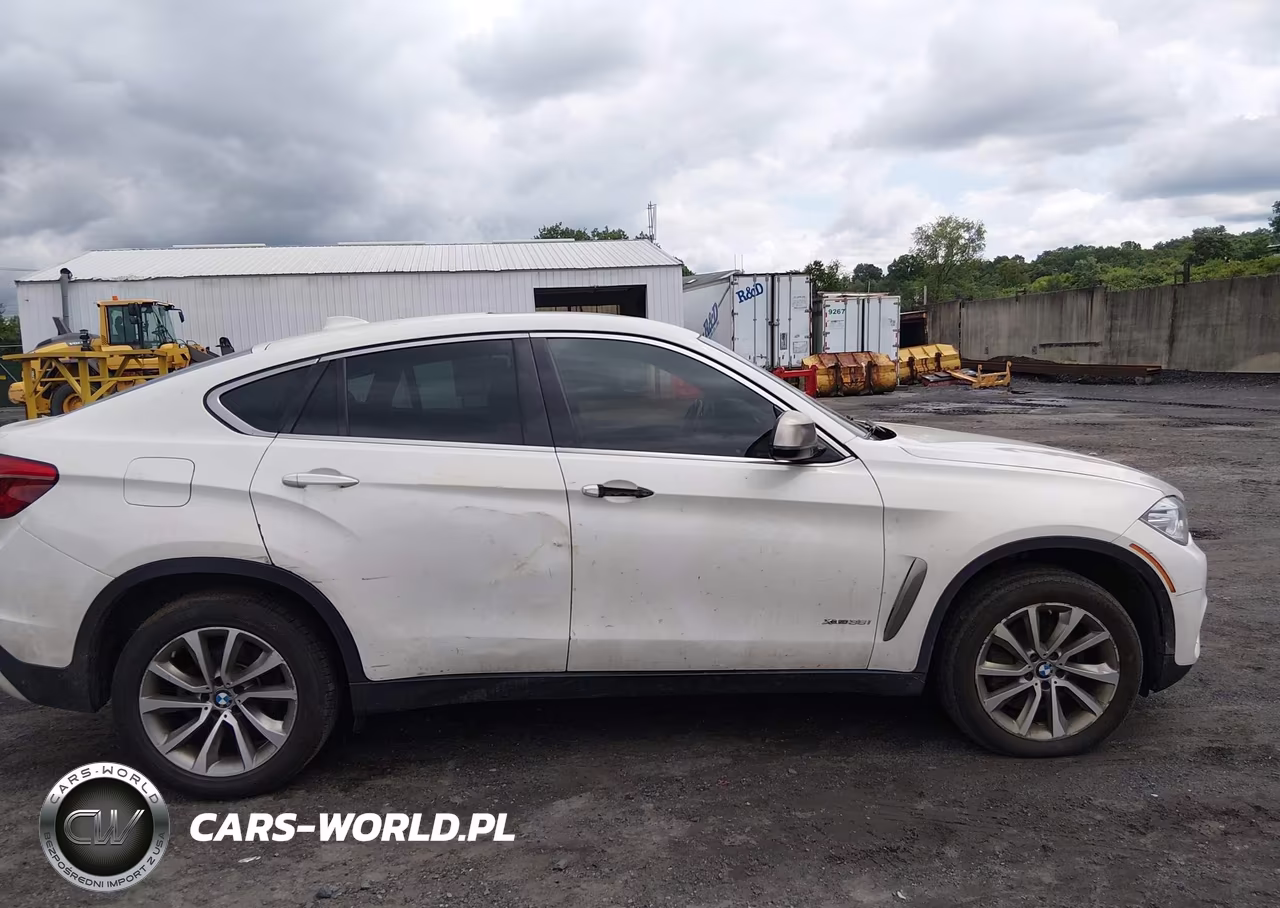 2017 BMW X6 xDrive35I VIN:5UXKU2C3XH0X47159 - 13