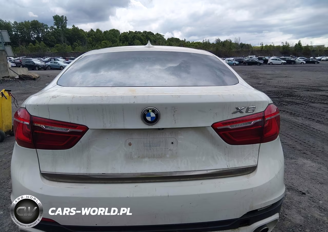 2017 BMW X6 xDrive35I VIN:5UXKU2C3XH0X47159 - 16