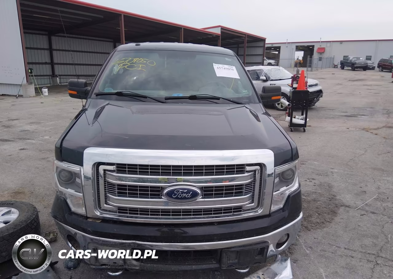 2014 Ford F-150 Xlt VIN:1FTFW1ET3EFD09662 - 13