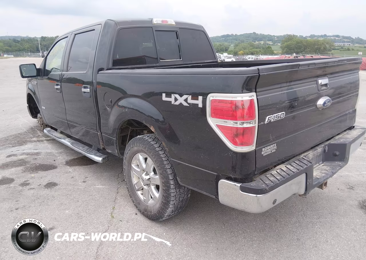 2014 Ford F-150 Xlt VIN:1FTFW1ET3EFD09662 - 3