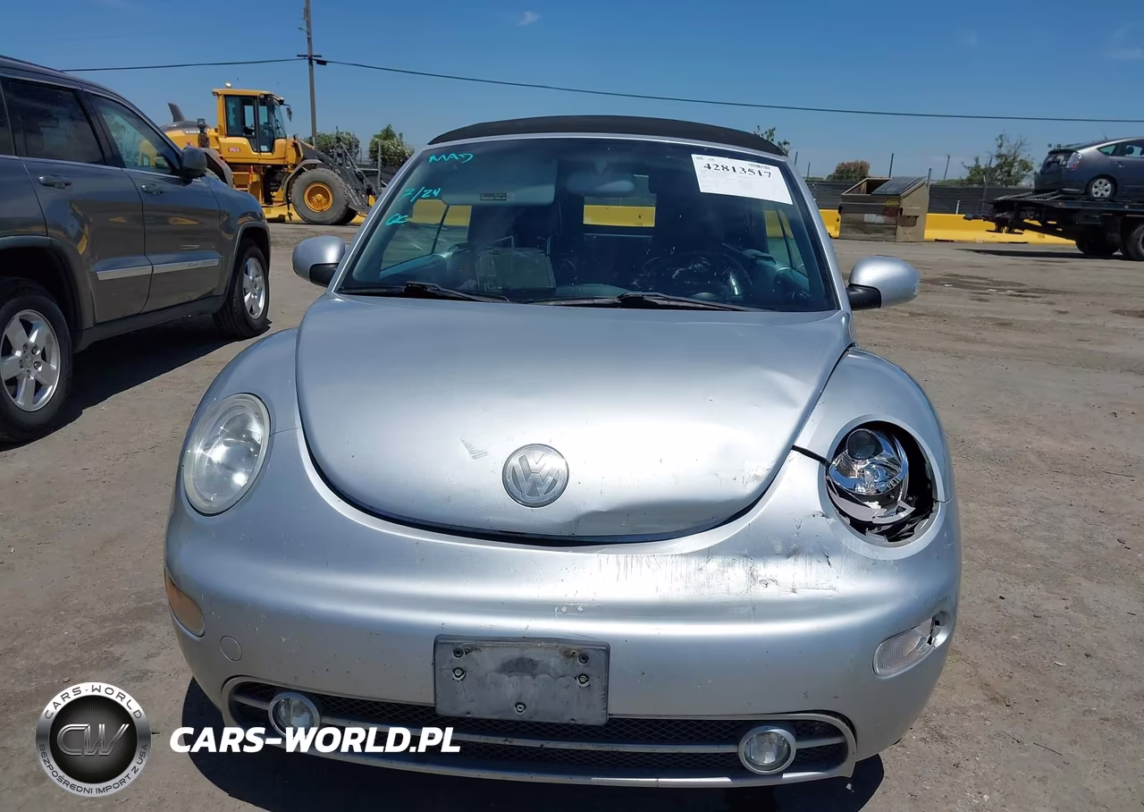 2004 Volkswagen New Beetle Gls 1.8T VIN:3VWCD21Y24M302925 - 12