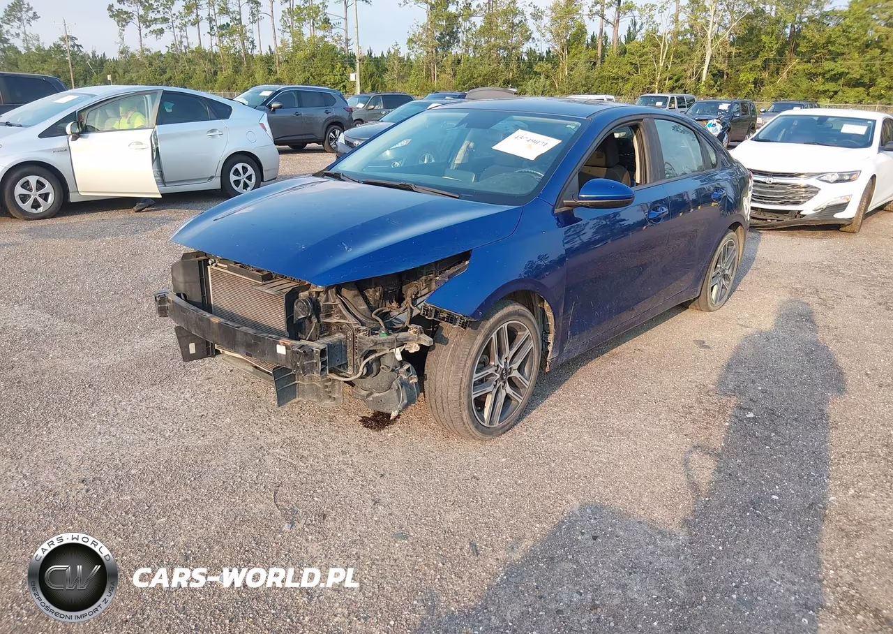 2019 Kia Forte S VIN:3KPF34AD8KE026561 - 2