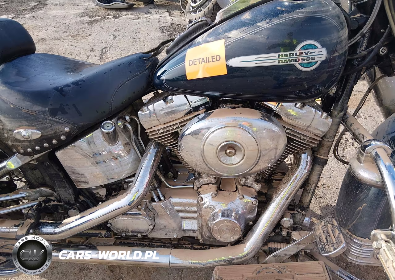 2002 Harley-Davidson Flstc VIN:1HD1BJY192Y043563 - 8