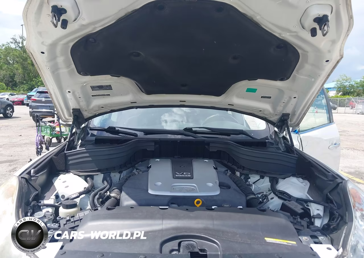 2017 Infiniti Qx50 VIN:JN1BJ0RP1HM386022 - 10