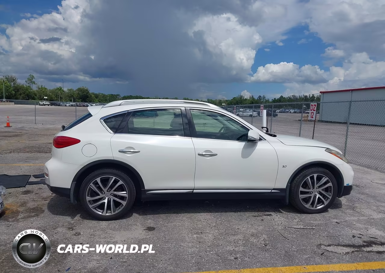 2017 Infiniti Qx50 VIN:JN1BJ0RP1HM386022 - 13
