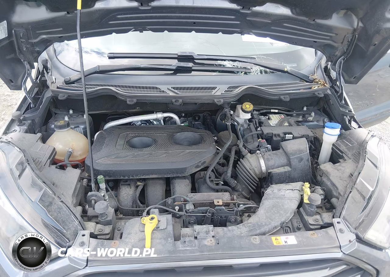 2018 Ford Ecosport Ses VIN:MAJ6P1CL5JC209211 - 10