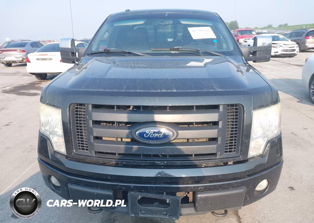 2010 Ford F-150 Fx4-Harley-Davidson-King Ranch-Lariat-Platinum-Xl-Xlt VIN:1FTFW1EVXAFB51350 - 12