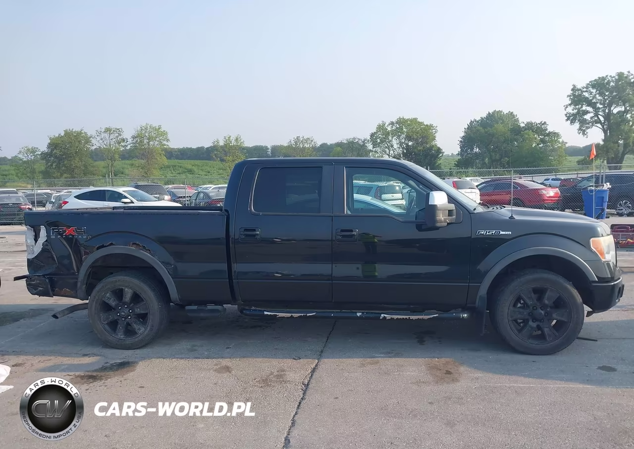 2010 Ford F-150 Fx4-Harley-Davidson-King Ranch-Lariat-Platinum-Xl-Xlt VIN:1FTFW1EVXAFB51350 - 13