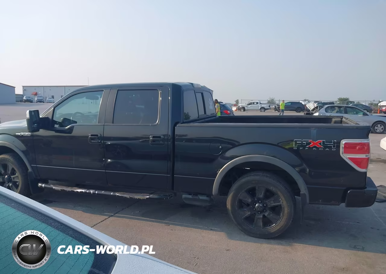 2010 Ford F-150 Fx4-Harley-Davidson-King Ranch-Lariat-Platinum-Xl-Xlt VIN:1FTFW1EVXAFB51350 - 14
