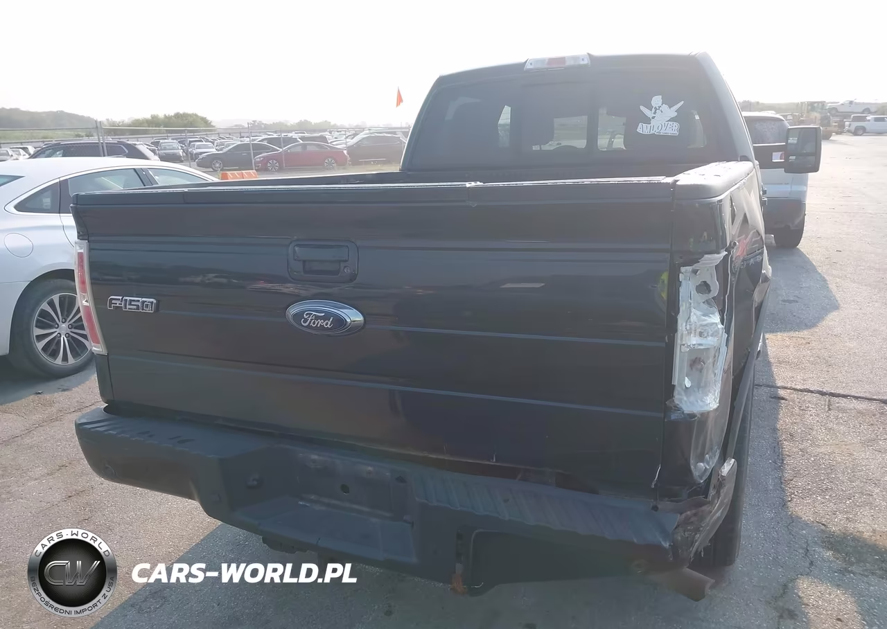 2010 Ford F-150 Fx4-Harley-Davidson-King Ranch-Lariat-Platinum-Xl-Xlt VIN:1FTFW1EVXAFB51350 - 16