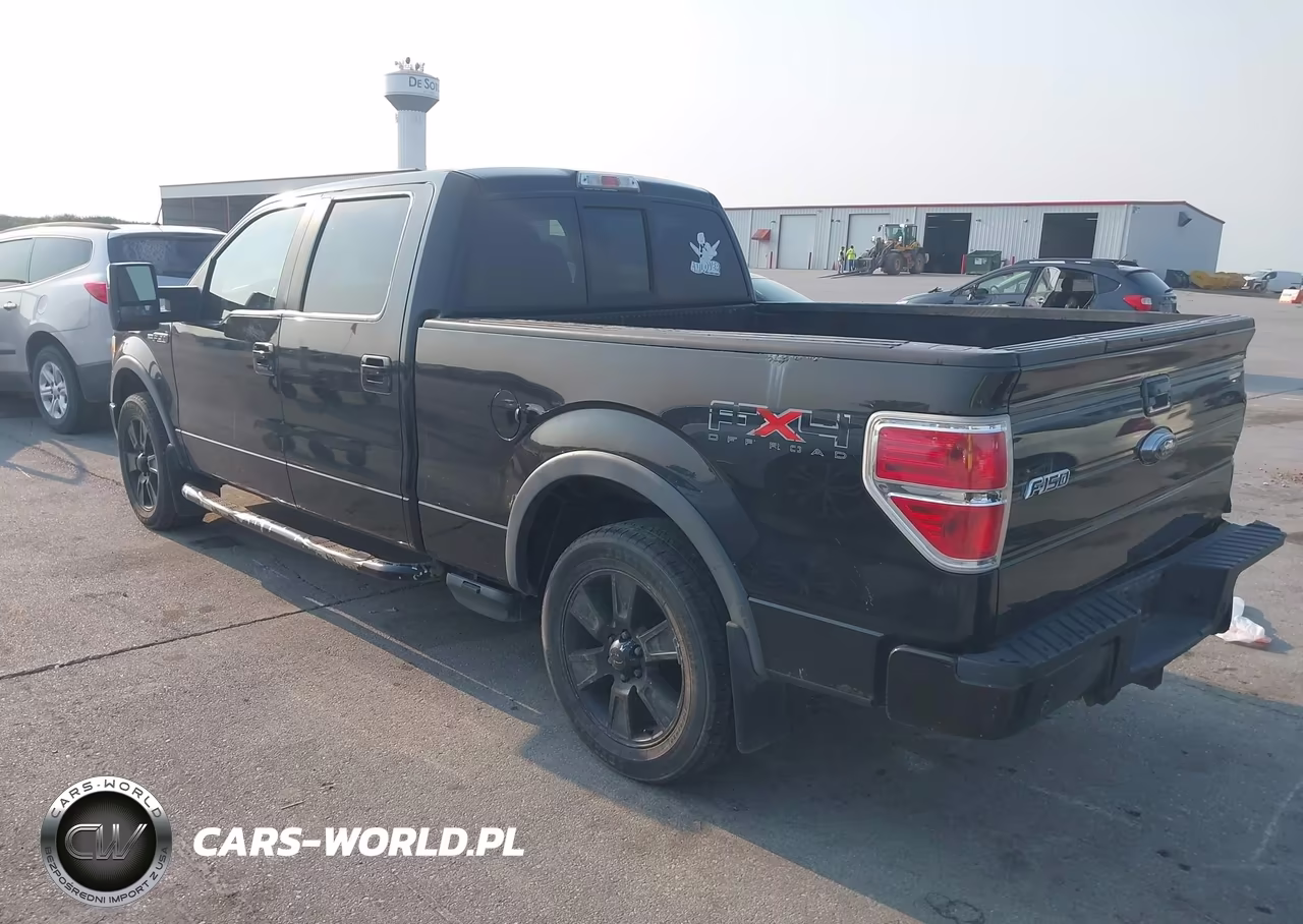 2010 Ford F-150 Fx4-Harley-Davidson-King Ranch-Lariat-Platinum-Xl-Xlt VIN:1FTFW1EVXAFB51350 - 3