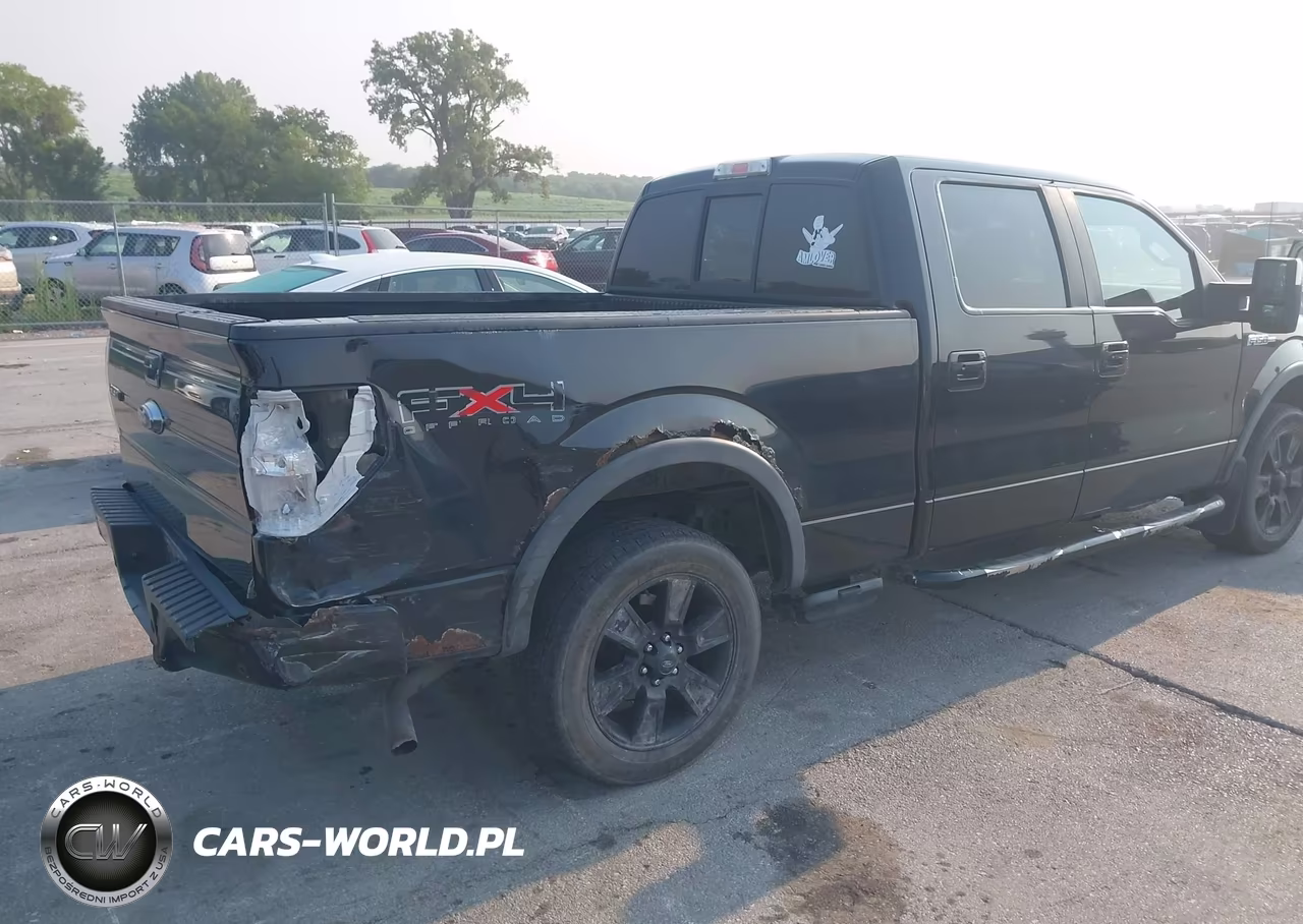 2010 Ford F-150 Fx4-Harley-Davidson-King Ranch-Lariat-Platinum-Xl-Xlt VIN:1FTFW1EVXAFB51350 - 4