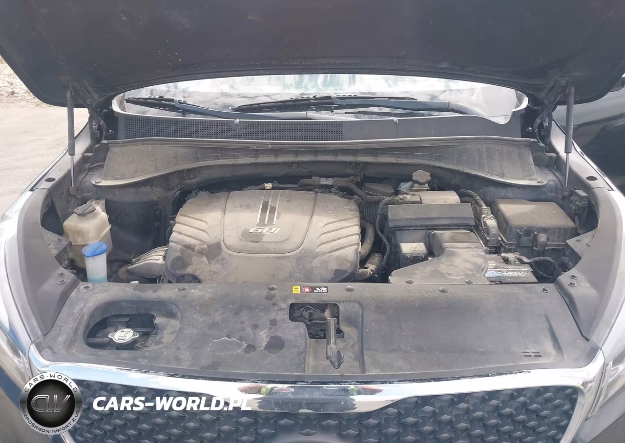 2016 Kia Sorento 3.3L Lx VIN:5XYPGDA56GG132230 - 10