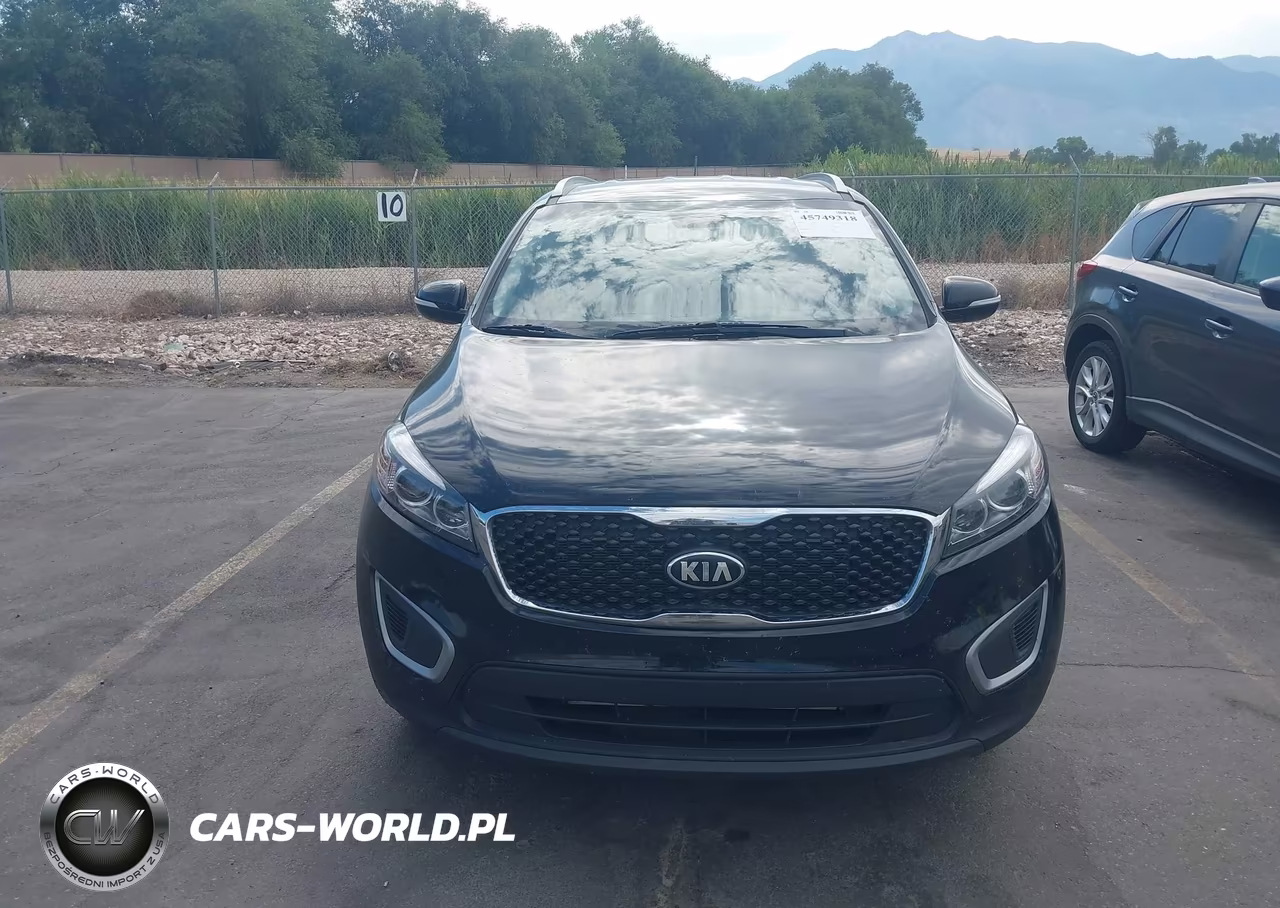 2016 Kia Sorento 3.3L Lx VIN:5XYPGDA56GG132230 - 12