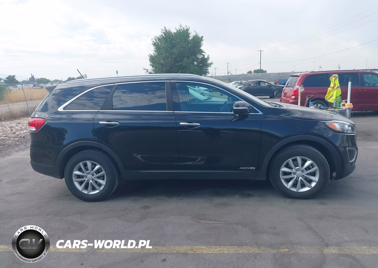 2016 Kia Sorento 3.3L Lx VIN:5XYPGDA56GG132230 - 13