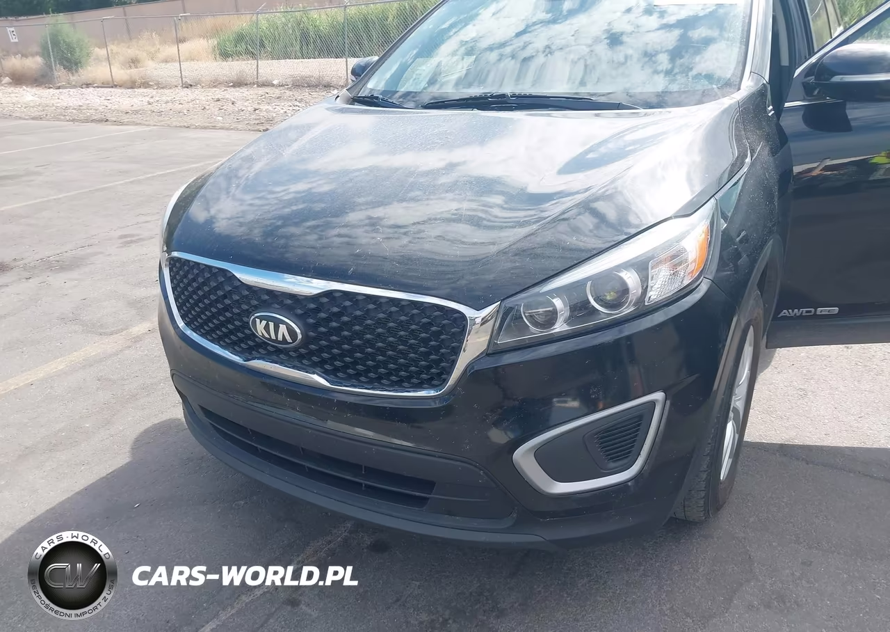 2016 Kia Sorento 3.3L Lx VIN:5XYPGDA56GG132230 - 6