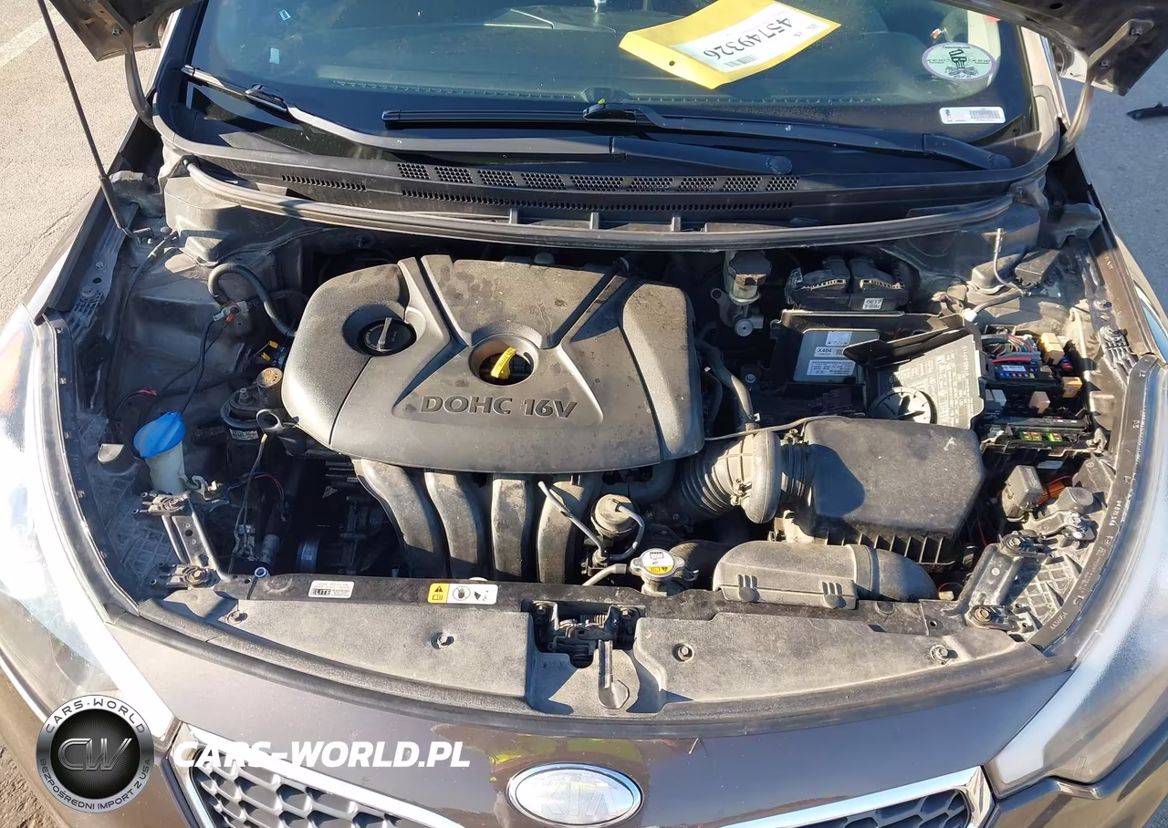 2014 Kia Forte Lx VIN:KNAFX4A63E5063441 - 10