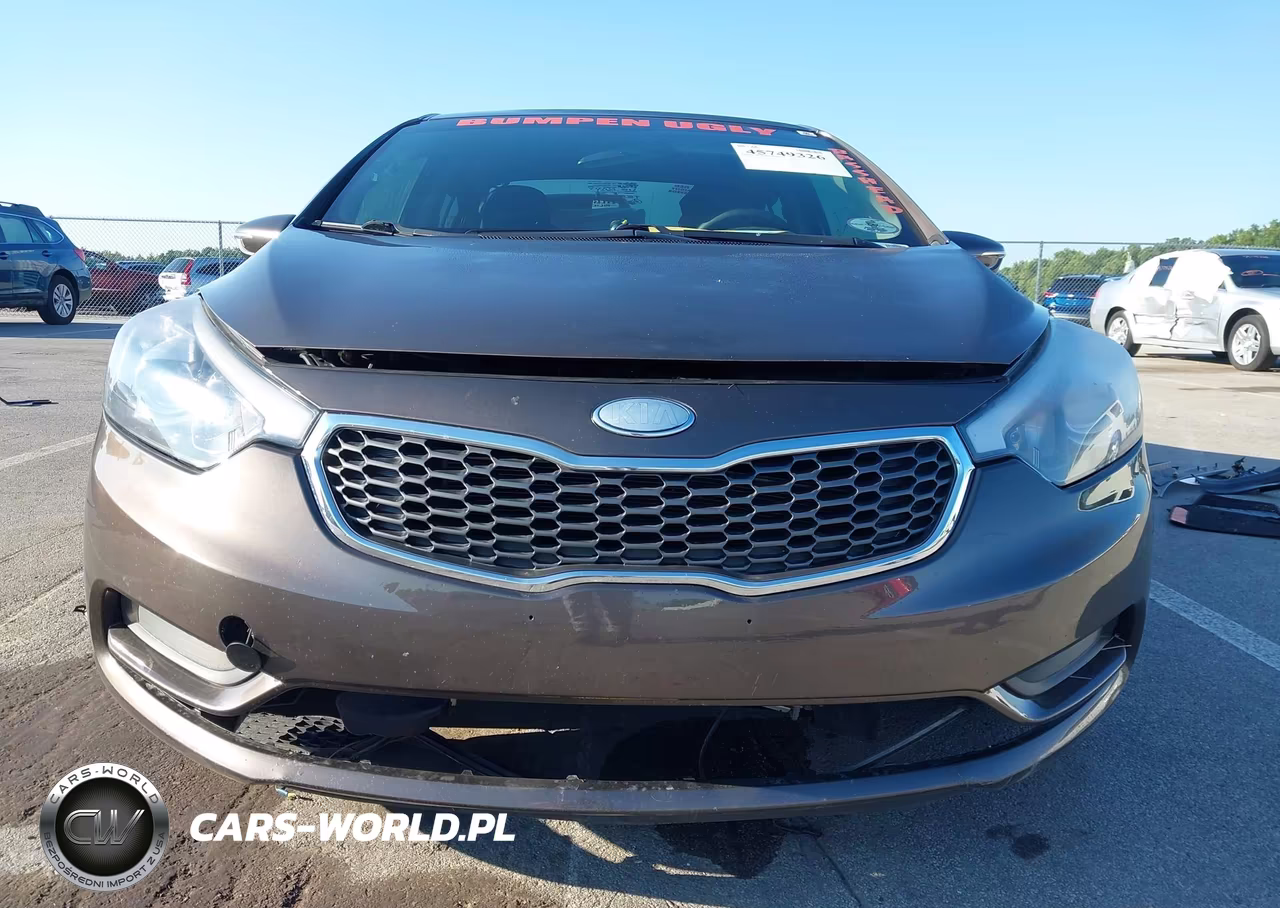 2014 Kia Forte Lx VIN:KNAFX4A63E5063441 - 13