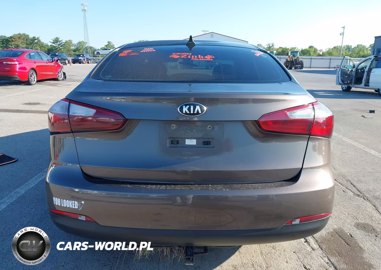 2014 Kia Forte Lx VIN:KNAFX4A63E5063441 - 17
