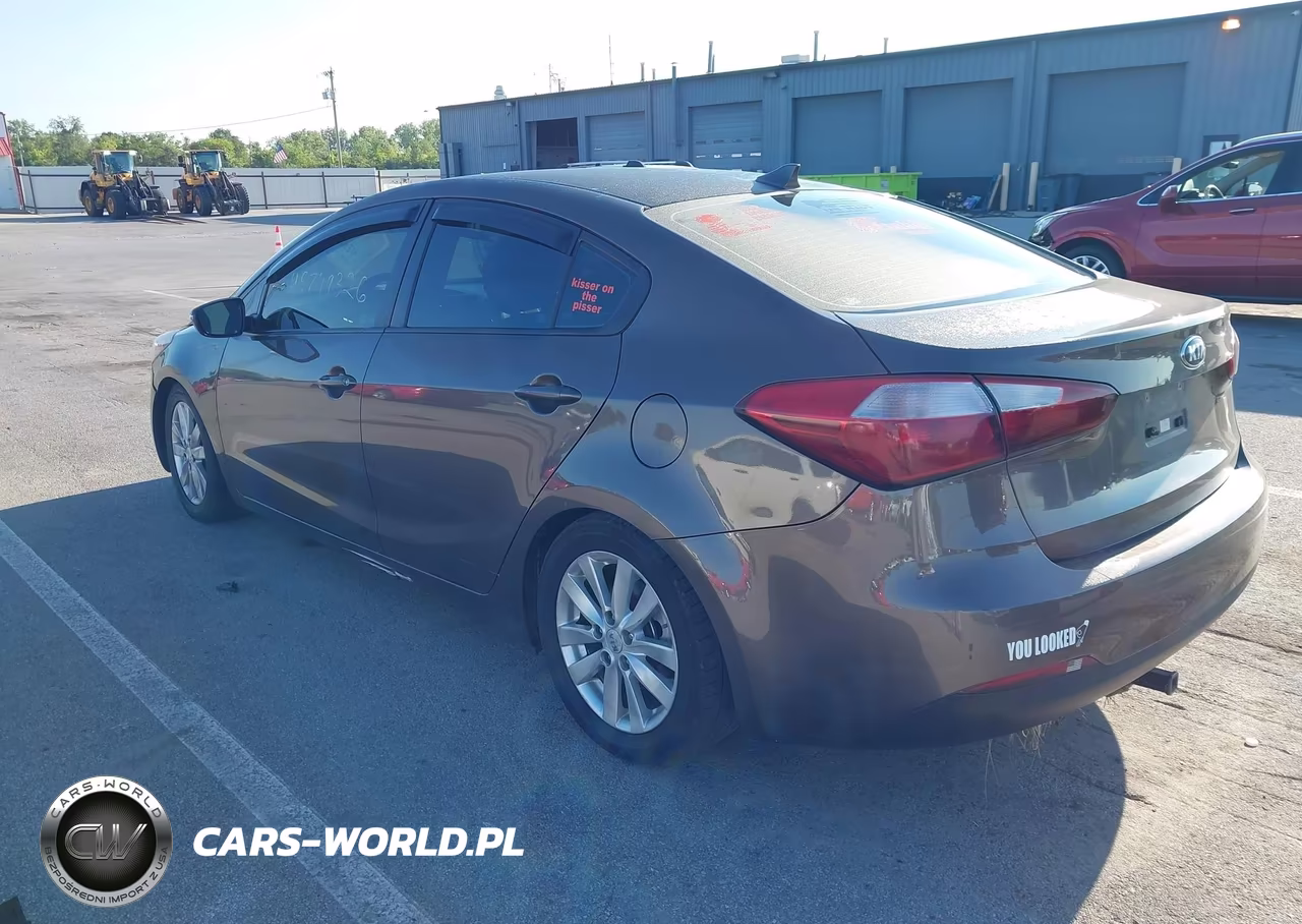 2014 Kia Forte Lx VIN:KNAFX4A63E5063441 - 3