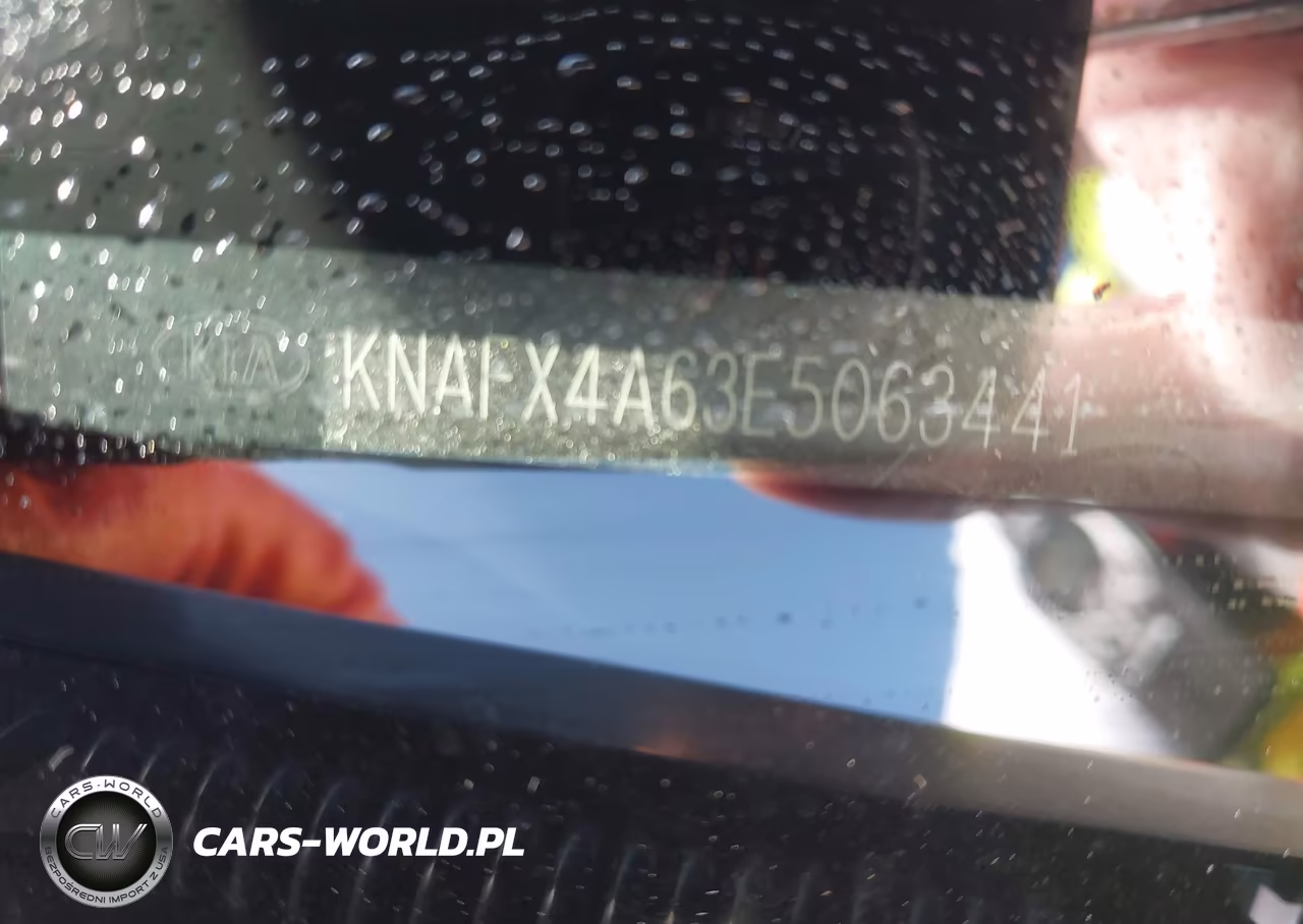 2014 Kia Forte Lx VIN:KNAFX4A63E5063441 - 9
