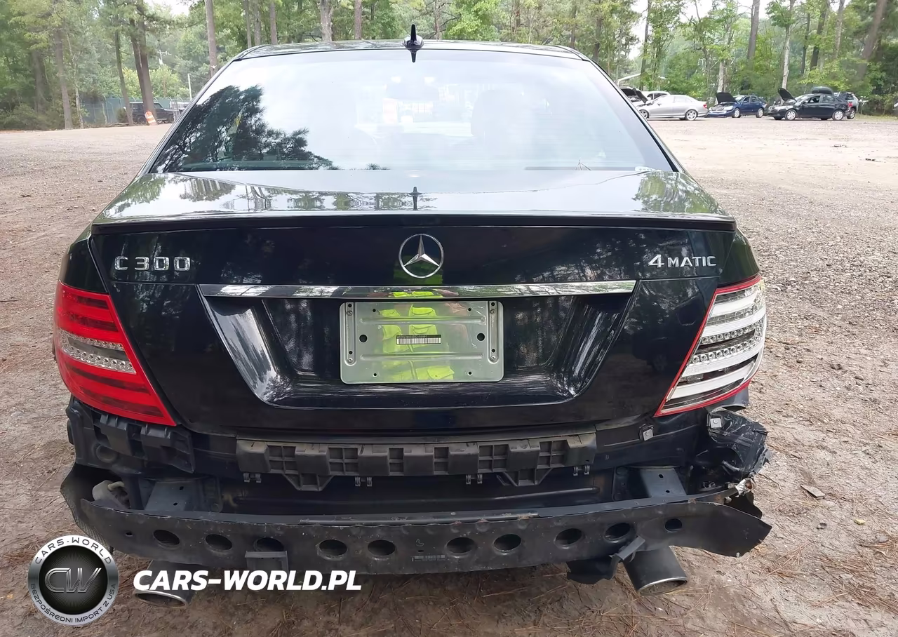 2013 Mercedes-Benz C 300 Sport 4Matic VIN:WDDGF8AB5DG135991 - 17