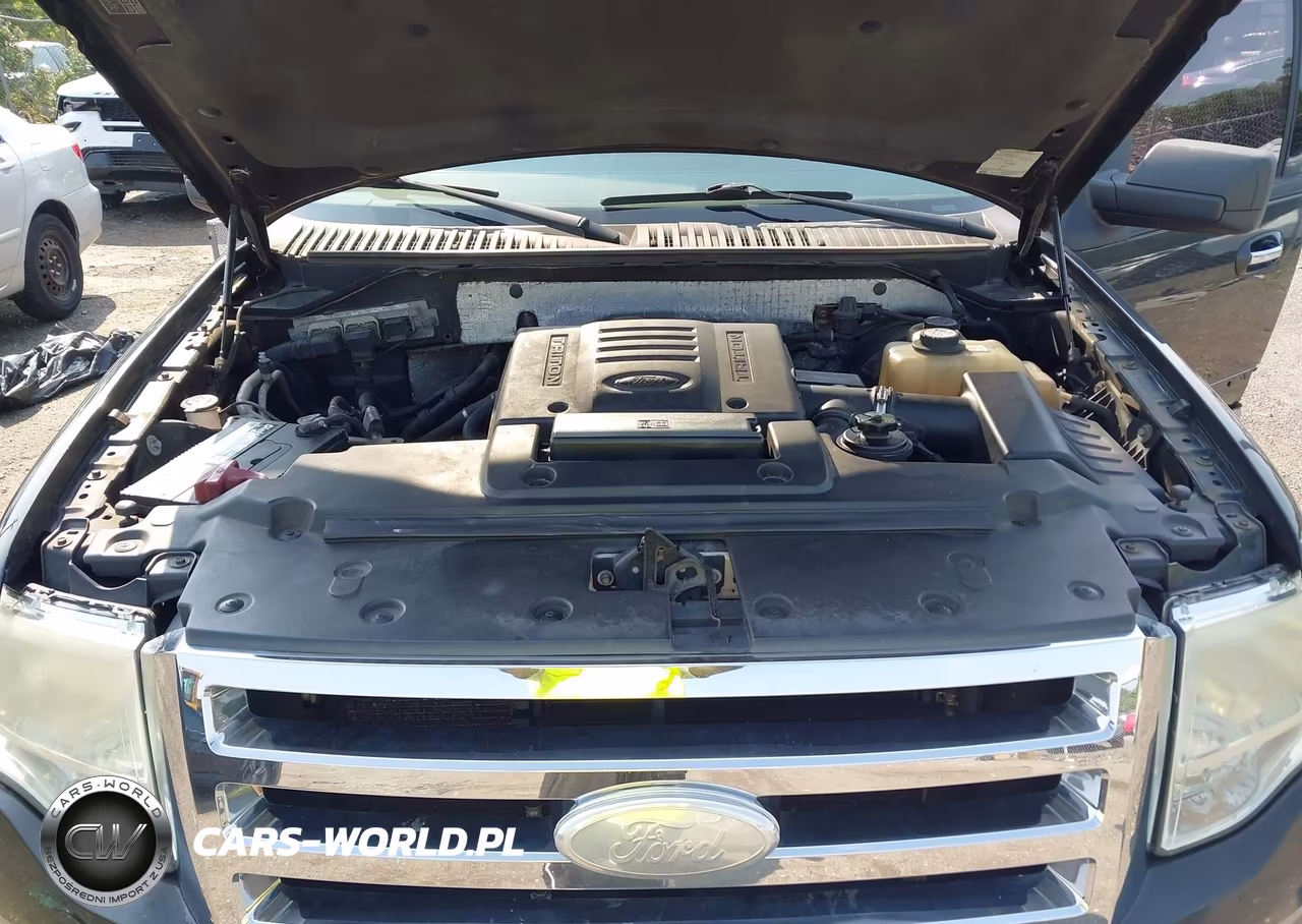 2007 Ford Expedition Eddie Bauer VIN:1FMFU175X7LA63505 - 10