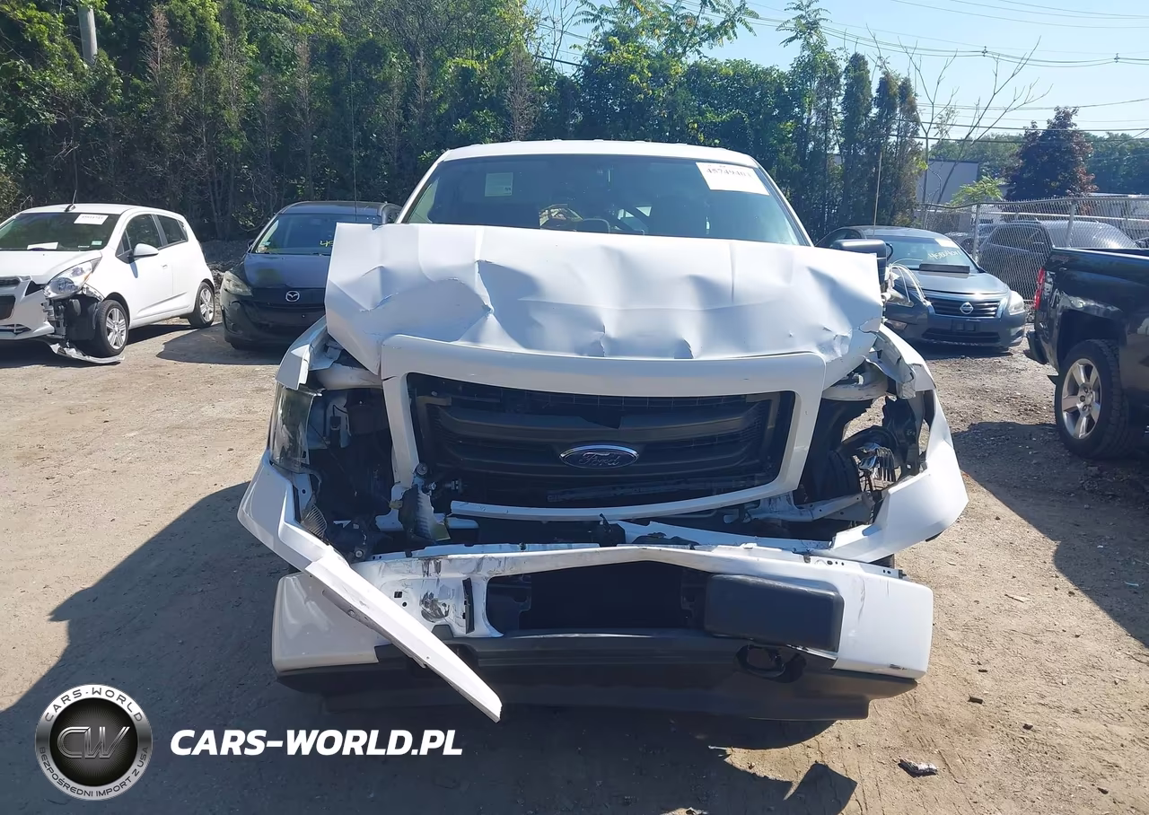 2014 Ford F-150 Stx VIN:1FTEX1EM7EKG08371 - 13