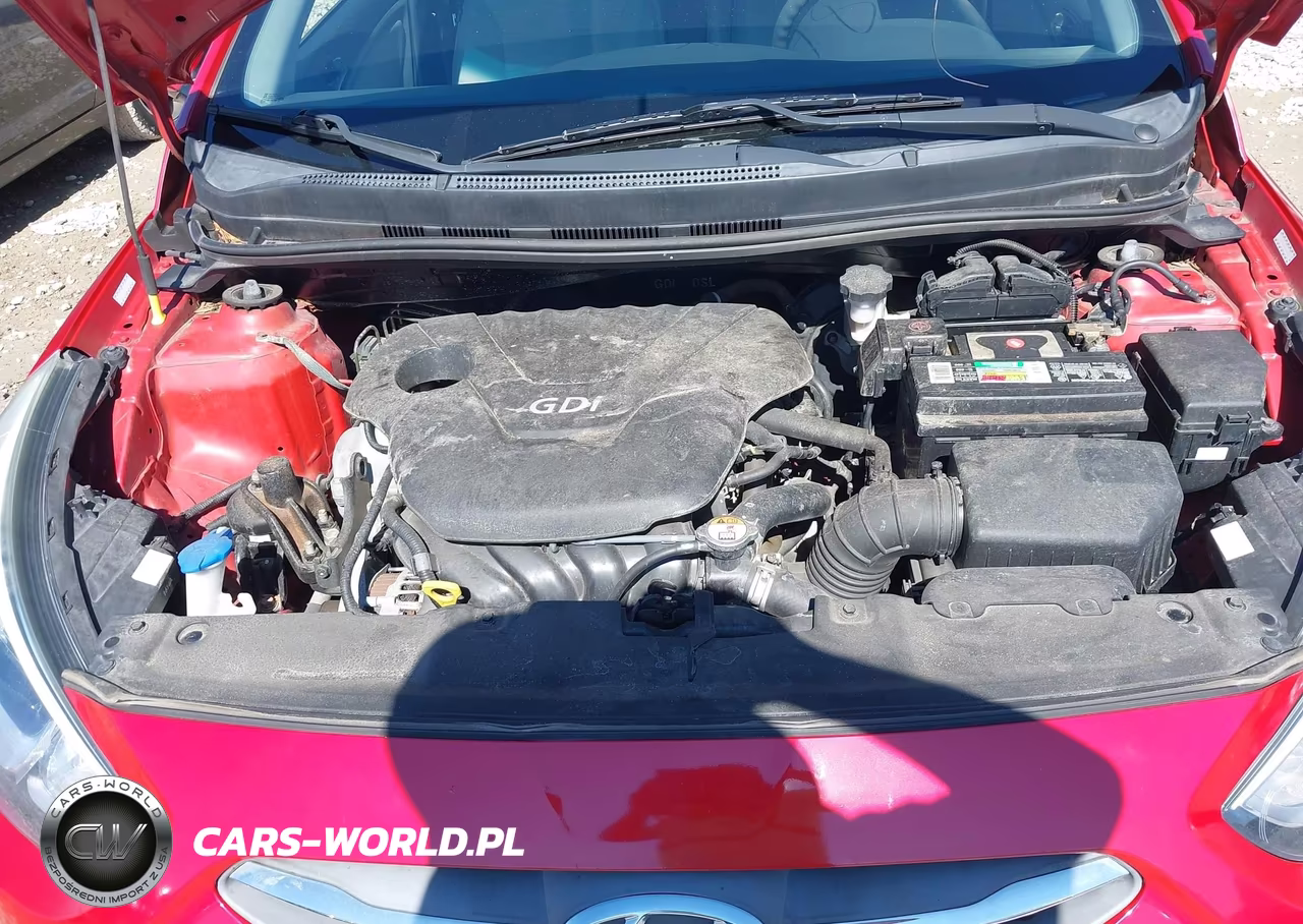 2016 Hyundai Accent Se VIN:KMHCT4AE0GU091582 - 10