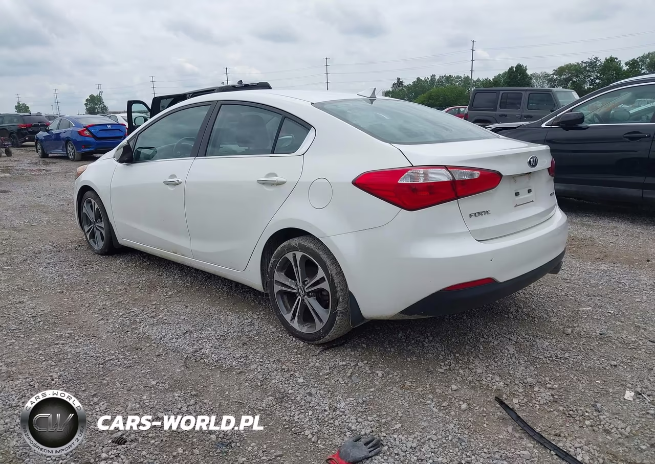 2016 Kia Forte Ex VIN:KNAFZ4A89G5551226 - 3