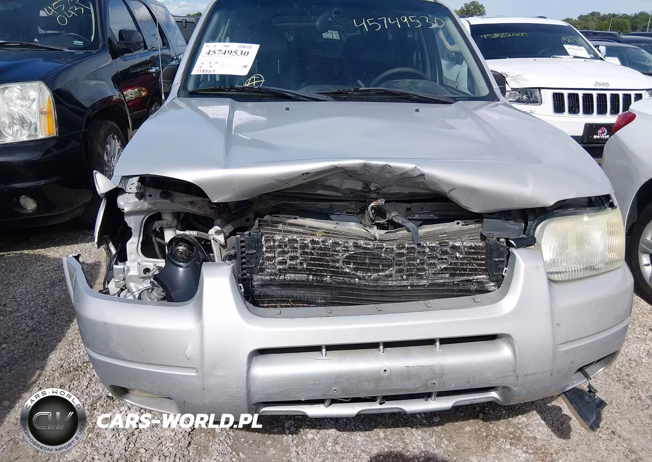 2003 Ford Escape Limited VIN:1FMCU94153KD07774 - 6